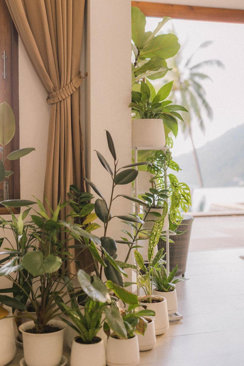 Perfect View Pool Villa 코타오 외부 사진